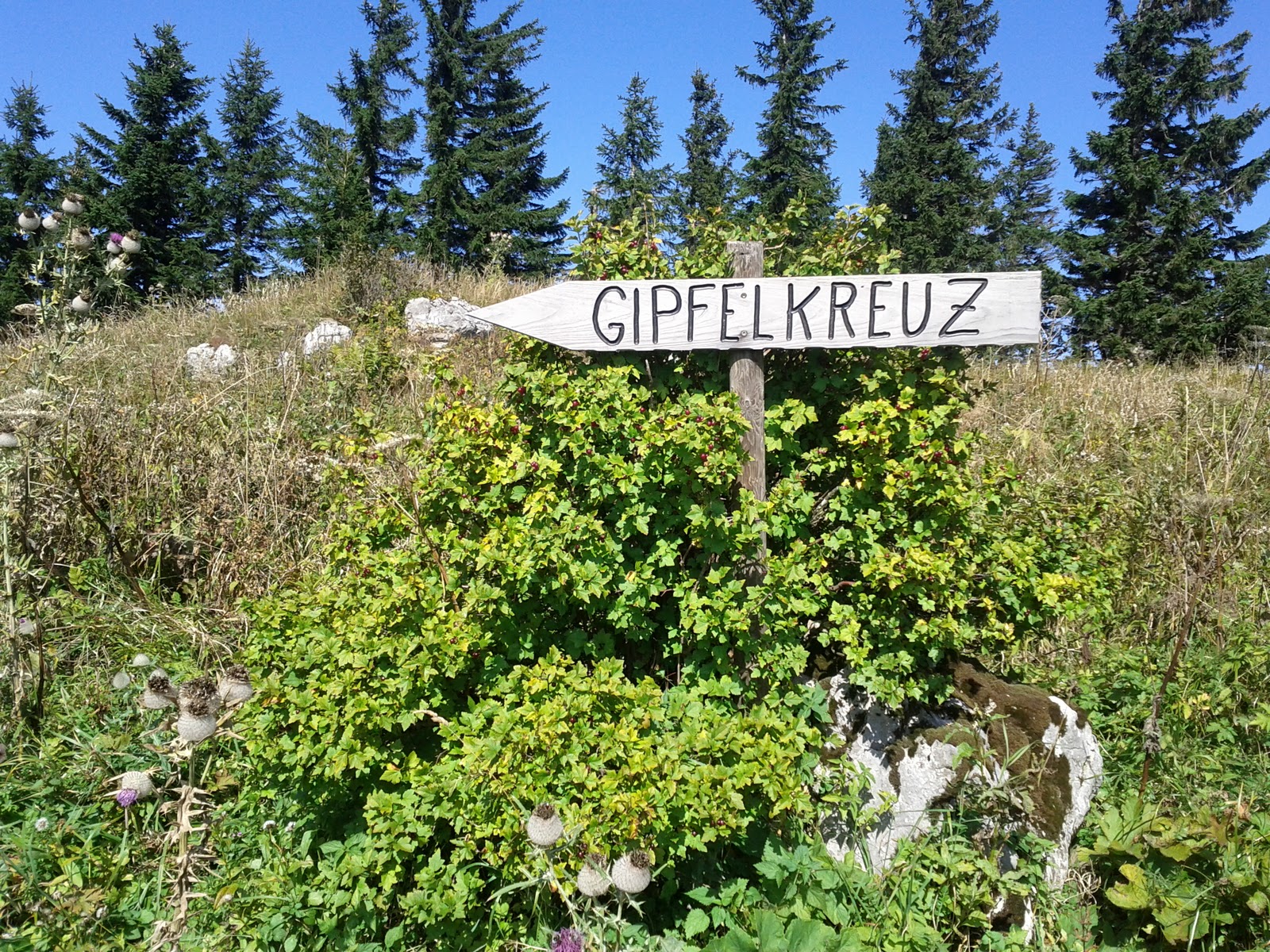 lh6.googleusercontent.com_-5-awu4kpl20_tn2-lddlayi_aaaaaaaaai8_o44k0l8vyei_w1600-h1200-no_img_20110924_131707.jpg lh6.googleusercontent.com_-5-awu4kpl20_tn2-lddlayi_aaaaaaaaai8_o44k0l8vyei_w1600-h1200-no_img_20110924_131707.jpg