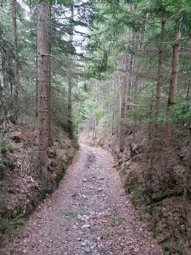 lh6.googleusercontent.com_-0zdrqbhikle_uyqrfaxckji_aaaaaaaav3a_p2_kfy5jpw0_w650-h866-no_20140315_111828_richtone_2528hdr_2529.jpg lh6.googleusercontent.com_-0zdrqbhikle_uyqrfaxckji_aaaaaaaav3a_p2_kfy5jpw0_w650-h866-no_20140315_111828_richtone_2528hdr_2529.jpg