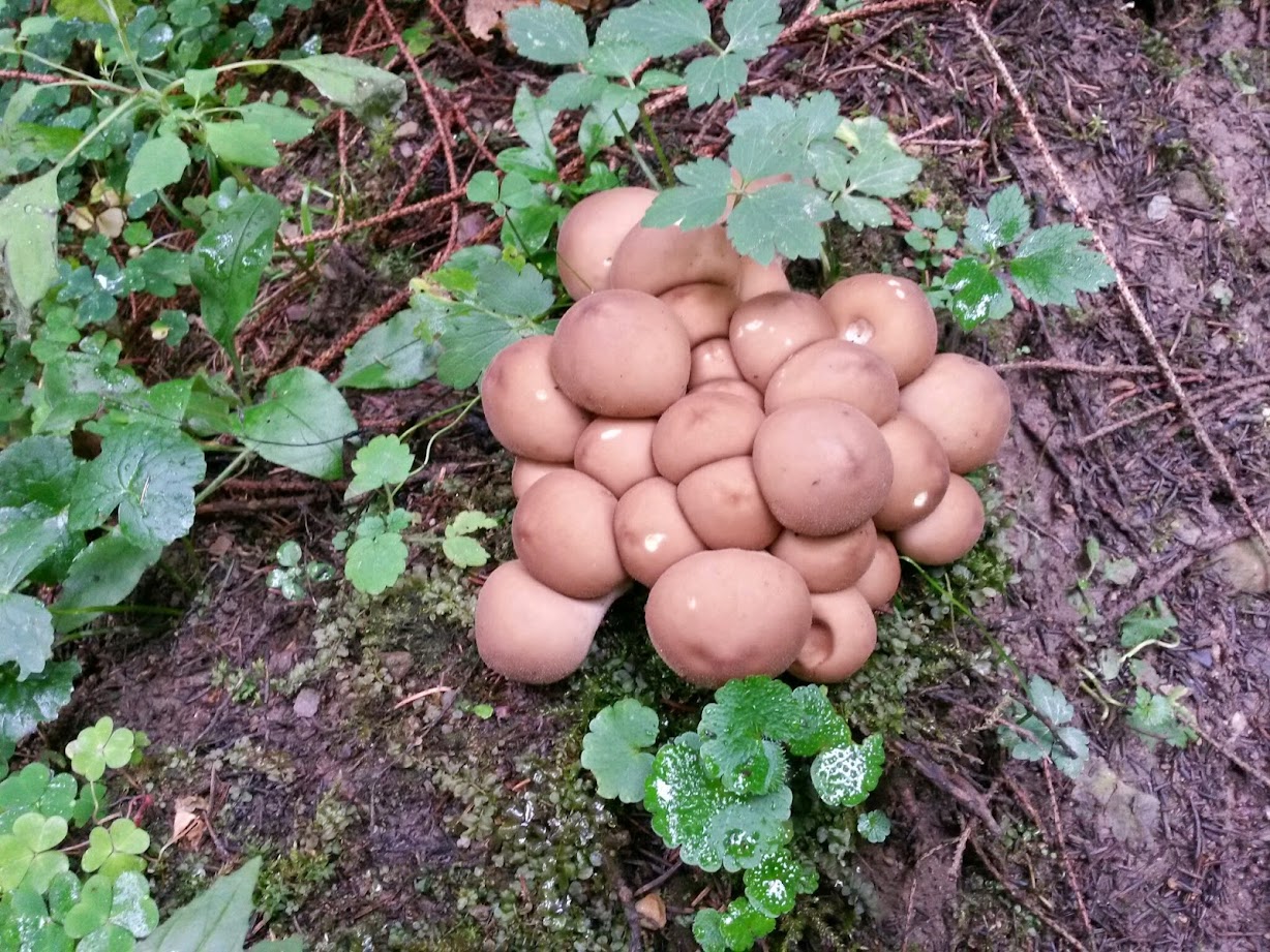 lh4.googleusercontent.com_-wp4xh8jbgvm_vb2ykkmyndi_aaaaaaaadpe_ktoahxqeujs_w1228-h921-no_20140920_125130_richtone_28hdr_29.jpg lh4.googleusercontent.com_-wp4xh8jbgvm_vb2ykkmyndi_aaaaaaaadpe_ktoahxqeujs_w1228-h921-no_20140920_125130_richtone_28hdr_29.jpg