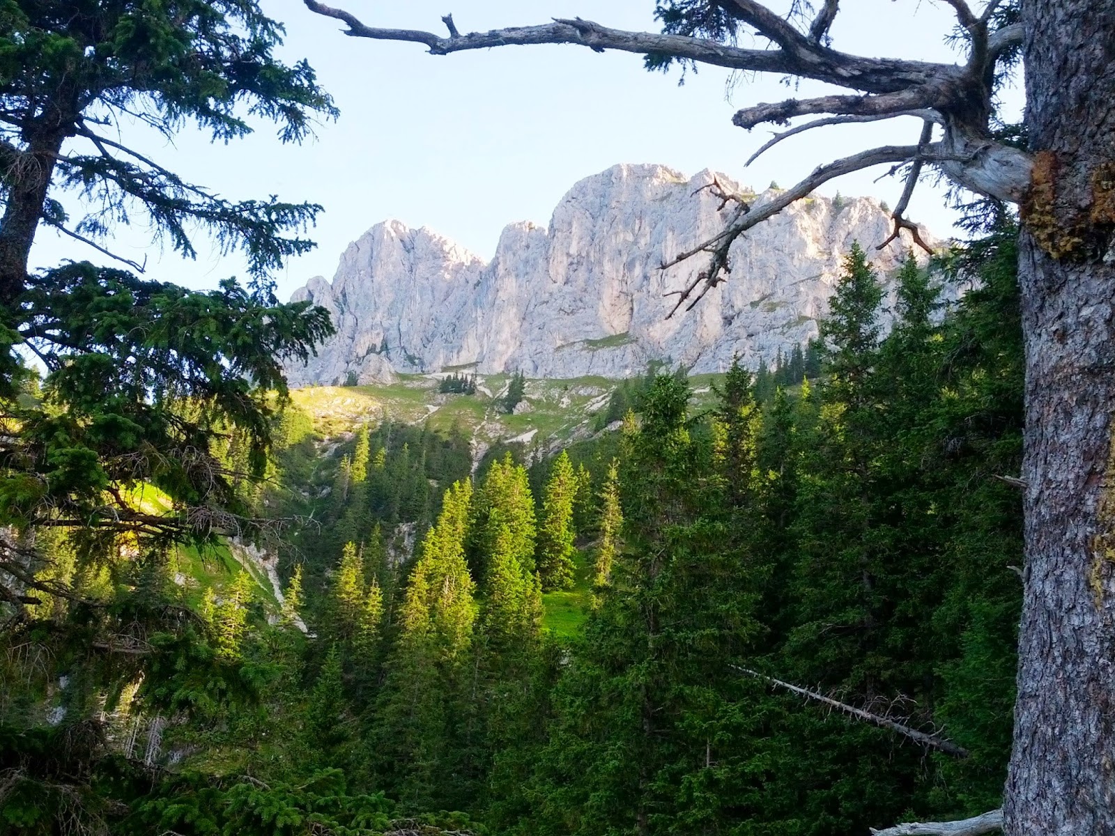 lh3.googleusercontent.com_-dvivg4andjy_ufukaat3fli_aaaaaaaapiy_t5koz_u35_q_w1600-h1200-no_img_20130728_074746.jpg lh3.googleusercontent.com_-dvivg4andjy_ufukaat3fli_aaaaaaaapiy_t5koz_u35_q_w1600-h1200-no_img_20130728_074746.jpg