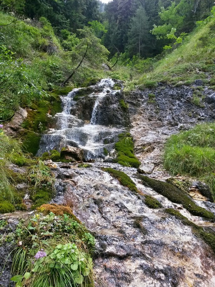 lh4.googleusercontent.com_-7qkvzxuaqr4_u-zwbv0at7i_aaaaaaaab3e_fcsic9cjl9w_w691-h921-no_20140809_142727_richtone_28hdr_29.jpg lh4.googleusercontent.com_-7qkvzxuaqr4_u-zwbv0at7i_aaaaaaaab3e_fcsic9cjl9w_w691-h921-no_20140809_142727_richtone_28hdr_29.jpg