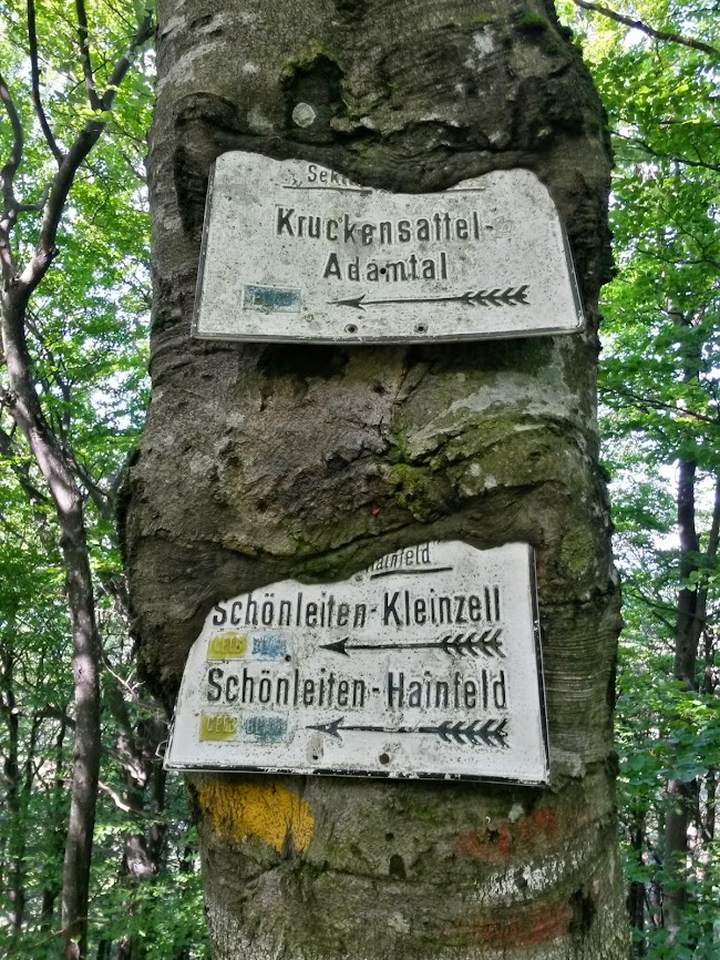 lh3.googleusercontent.com_-wesmwouevm0_u4chka1biqi_aaaaaaaayri_utzf7x9dcds_w650-h866-no_20140524_100850_richtone_2528hdr_2529.jpg lh3.googleusercontent.com_-wesmwouevm0_u4chka1biqi_aaaaaaaayri_utzf7x9dcds_w650-h866-no_20140524_100850_richtone_2528hdr_2529.jpg