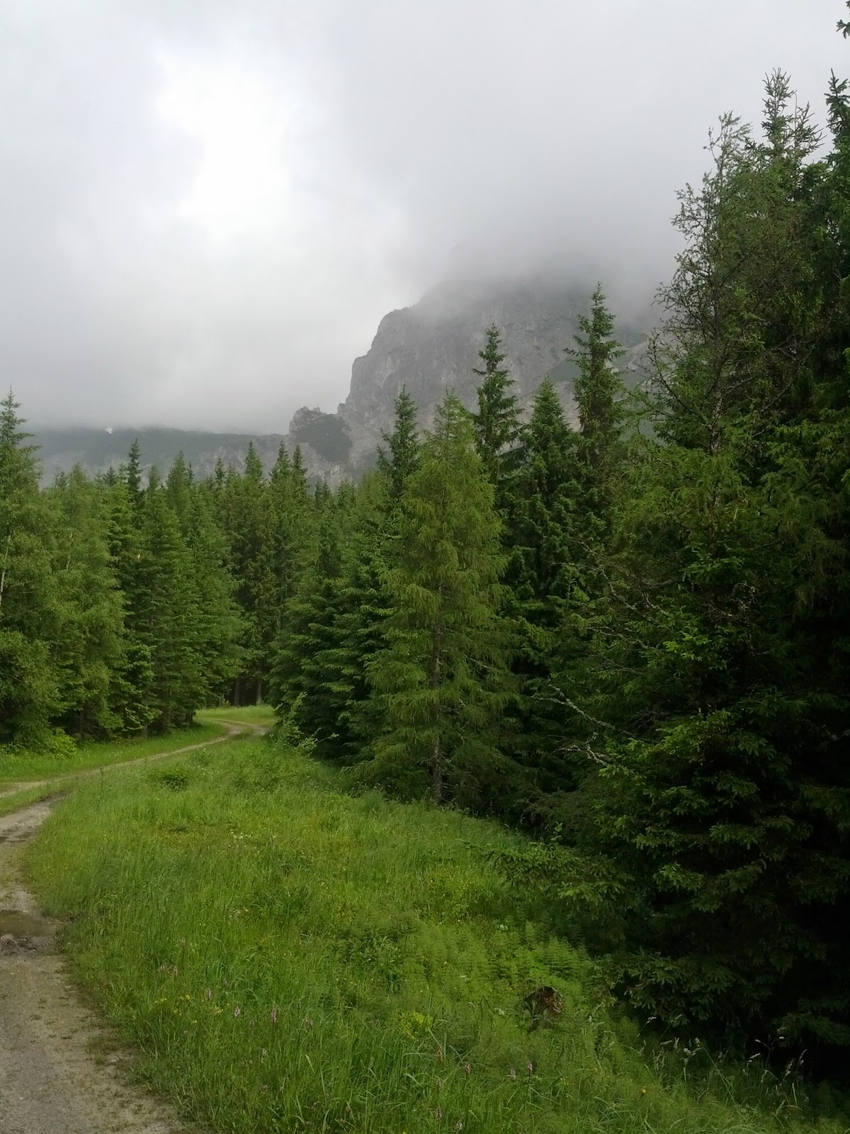 lh4.googleusercontent.com_-jb4t3d3guja_udaeqirxdvi_aaaaaaaaoes_wl0dd1f9_ga_w1200-h1600-no_img_20130630_094034.jpg lh4.googleusercontent.com_-jb4t3d3guja_udaeqirxdvi_aaaaaaaaoes_wl0dd1f9_ga_w1200-h1600-no_img_20130630_094034.jpg