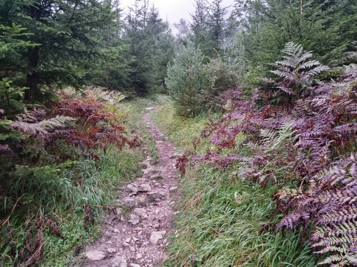 lh3.googleusercontent.com_-sb2faigmfae_vbgycmt8f_i_aaaaaaaadds_nzajmvv05zq_w1200-h900-no_20140911_091322_richtone_28hdr_29.jpg lh3.googleusercontent.com_-sb2faigmfae_vbgycmt8f_i_aaaaaaaadds_nzajmvv05zq_w1200-h900-no_20140911_091322_richtone_28hdr_29.jpg