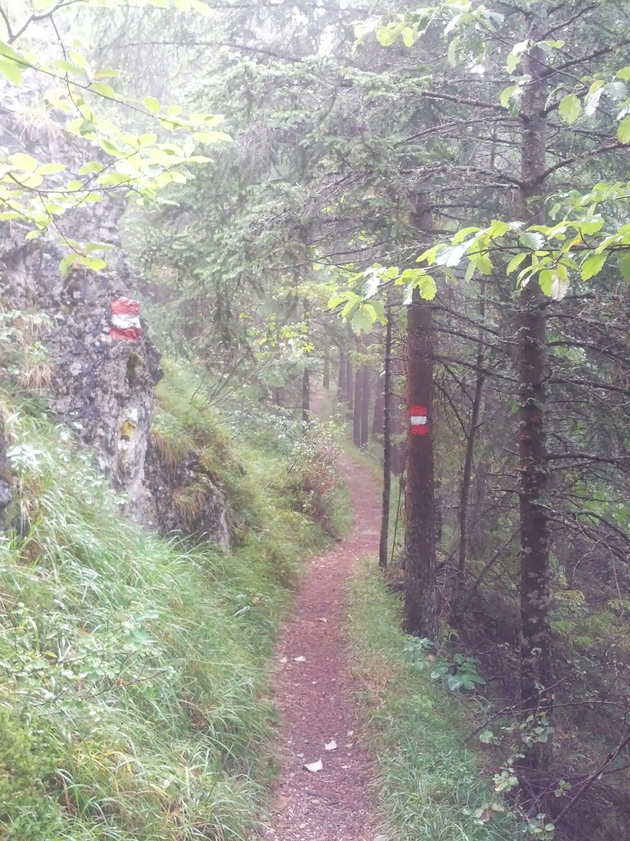 lh3.googleusercontent.com_-ftwf3kwcrbs_ugysbqrqyni_aaaaaaaapbi_b_zuxoe7wxq_w900-h1200-no_img_20130810_085221.jpg lh3.googleusercontent.com_-ftwf3kwcrbs_ugysbqrqyni_aaaaaaaapbi_b_zuxoe7wxq_w900-h1200-no_img_20130810_085221.jpg