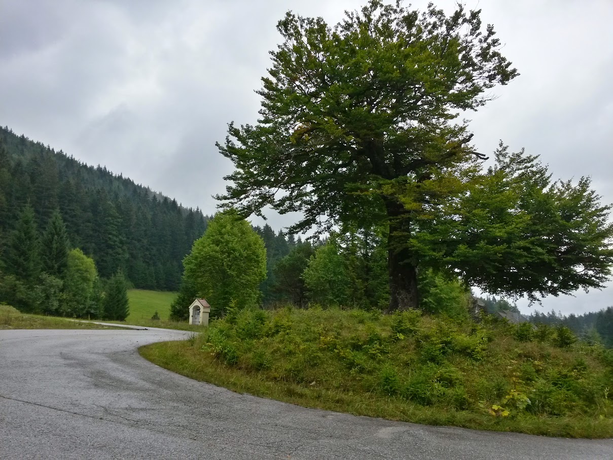 lh6.googleusercontent.com_-mqspjstyata_vgax-odp8yi_aaaaaaaaoc8_xpzlkftltye_w1209-h907-no_20150926_130930_richtone_2528hdr_2529.jpg lh6.googleusercontent.com_-mqspjstyata_vgax-odp8yi_aaaaaaaaoc8_xpzlkftltye_w1209-h907-no_20150926_130930_richtone_2528hdr_2529.jpg