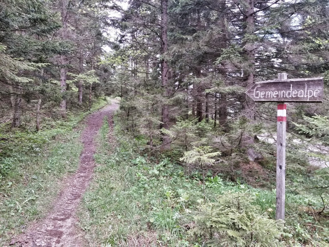 lh4.googleusercontent.com_-pdkbcldzztu_u25aelgeyui_aaaaaaaaxf4_rcukmghu9k0_w1155-h866-no_20140510_093805_richtone_2528hdr_2529.jpg lh4.googleusercontent.com_-pdkbcldzztu_u25aelgeyui_aaaaaaaaxf4_rcukmghu9k0_w1155-h866-no_20140510_093805_richtone_2528hdr_2529.jpg