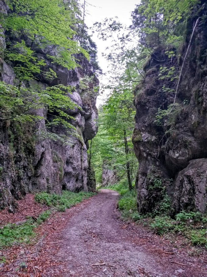 lh4.googleusercontent.com_-ahnrpewujfm_vwnuqq1k0ci_aaaaaaaajfe_zvhk-pmv4ik_w680-h907-no_20150530_143135_richtone_2528hdr_2529.jpg lh4.googleusercontent.com_-ahnrpewujfm_vwnuqq1k0ci_aaaaaaaajfe_zvhk-pmv4ik_w680-h907-no_20150530_143135_richtone_2528hdr_2529.jpg