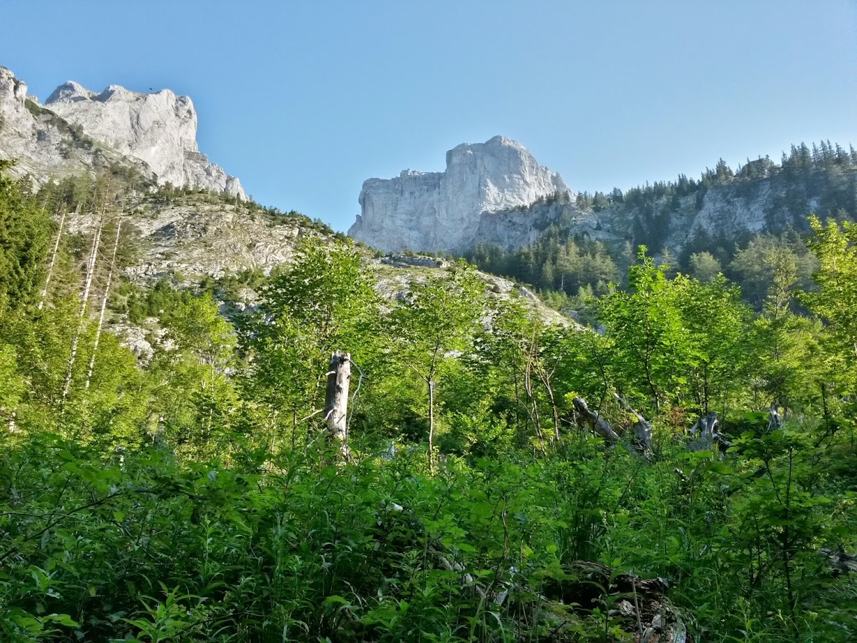 lh5.googleusercontent.com_-urwpu5dqb9e_u8qb6cybr9i_aaaaaaaabkw_xmzjjsu2tis_w1228-h921-no_20140719_074427_richtone_2528hdr_2529.jpg lh5.googleusercontent.com_-urwpu5dqb9e_u8qb6cybr9i_aaaaaaaabkw_xmzjjsu2tis_w1228-h921-no_20140719_074427_richtone_2528hdr_2529.jpg