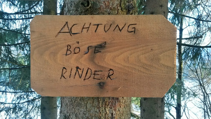 lh5.googleusercontent.com_-xsozata5u5e_up9vygw-vgi_aaaaaaaatnw_mfhwebmztey_w702-h395-no_20131204_153126_richtone_2528hdr_2529.jpg lh5.googleusercontent.com_-xsozata5u5e_up9vygw-vgi_aaaaaaaatnw_mfhwebmztey_w702-h395-no_20131204_153126_richtone_2528hdr_2529.jpg