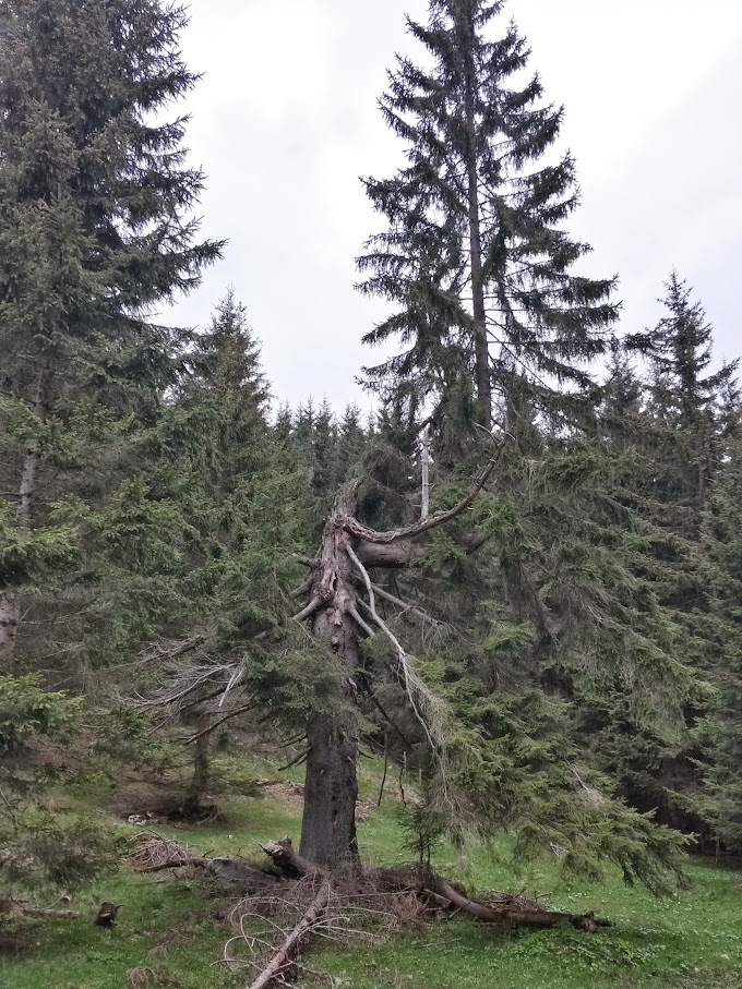 lh6.googleusercontent.com_-gsrmpbwy63e_vvdaovnxcti_aaaaaaaajhm_w47rulw-xuq_w680-h907-no_20150516_105327_richtone_2528hdr_2529.jpg lh6.googleusercontent.com_-gsrmpbwy63e_vvdaovnxcti_aaaaaaaajhm_w47rulw-xuq_w680-h907-no_20150516_105327_richtone_2528hdr_2529.jpg