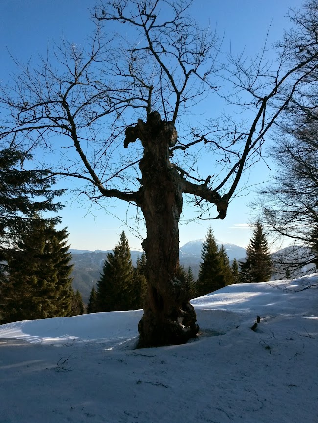 lh4.googleusercontent.com_-cyb5d401sf4_uq3wwrhuaei_aaaaaaaati8_cviski5ptpu_w650-h866-no_20131215_113512_richtone_2528hdr_2529.jpg lh4.googleusercontent.com_-cyb5d401sf4_uq3wwrhuaei_aaaaaaaati8_cviski5ptpu_w650-h866-no_20131215_113512_richtone_2528hdr_2529.jpg