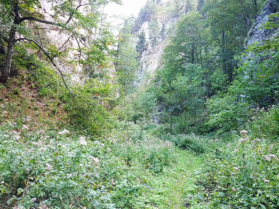 lh6.googleusercontent.com_-hspgl1mqrkm_uitqp_7gxii_aaaaaaaaqn0_a1kx264bbaq_w1155-h866-no_img_20130907_150520.jpg lh6.googleusercontent.com_-hspgl1mqrkm_uitqp_7gxii_aaaaaaaaqn0_a1kx264bbaq_w1155-h866-no_img_20130907_150520.jpg