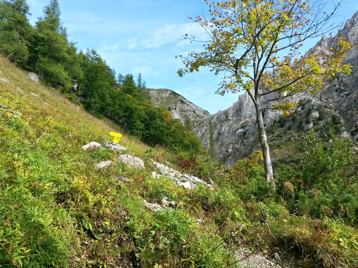 lh6.googleusercontent.com_-5ipx35zs7ke_vb2x3calsbi_aaaaaaaadka_8zmloxtioye_w1228-h921-no_20140920_101735_richtone_28hdr_29.jpg lh6.googleusercontent.com_-5ipx35zs7ke_vb2x3calsbi_aaaaaaaadka_8zmloxtioye_w1228-h921-no_20140920_101735_richtone_28hdr_29.jpg