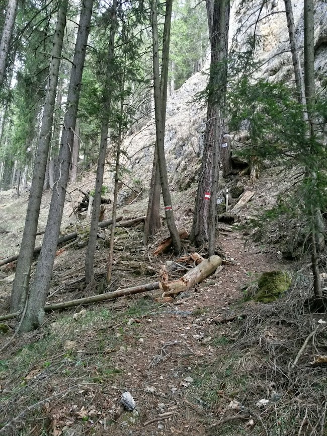 lh6.googleusercontent.com_-jhvkjabjrdy_uz_fl9stg7i_aaaaaaaawo0_hlss4ux0pts_w650-h866-no_20140405_095247_richtone_2528hdr_2529.jpg lh6.googleusercontent.com_-jhvkjabjrdy_uz_fl9stg7i_aaaaaaaawo0_hlss4ux0pts_w650-h866-no_20140405_095247_richtone_2528hdr_2529.jpg