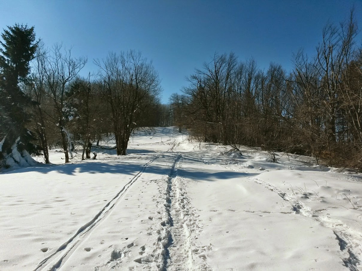 lh5.googleusercontent.com_-jyns-0ccvsk_vn9nijpoysi_aaaaaaaahzq_-vhlgrvwshc_w1209-h907-no_20150214_112414_richtone_28hdr_29.jpg lh5.googleusercontent.com_-jyns-0ccvsk_vn9nijpoysi_aaaaaaaahzq_-vhlgrvwshc_w1209-h907-no_20150214_112414_richtone_28hdr_29.jpg