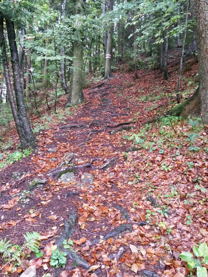 lh6.googleusercontent.com_-h6dpke7lr6a_vccysw5sjyi_aaaaaaaadxm_alvtze6ps4s_w691-h921-no_20140927_120748_richtone_28hdr_29.jpg lh6.googleusercontent.com_-h6dpke7lr6a_vccysw5sjyi_aaaaaaaadxm_alvtze6ps4s_w691-h921-no_20140927_120748_richtone_28hdr_29.jpg