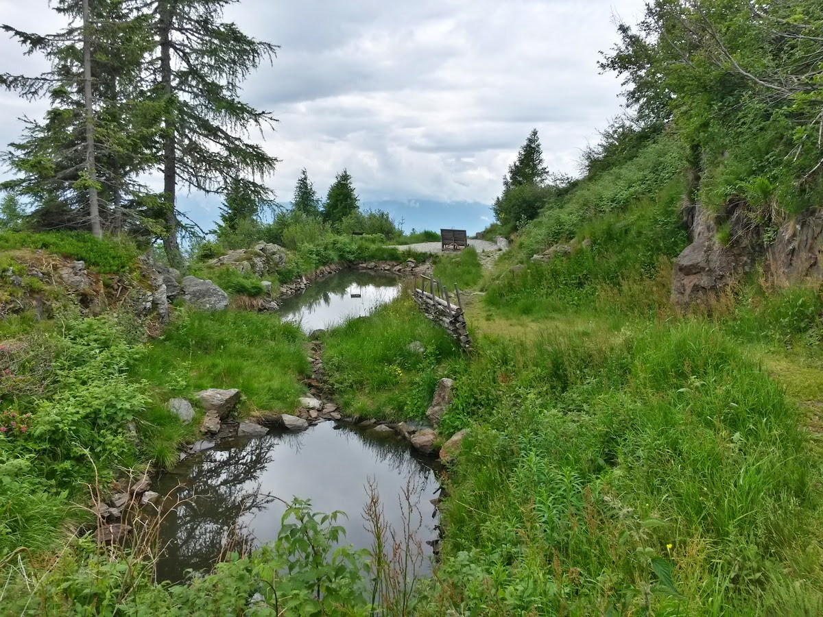 lh3.googleusercontent.com_-hkwyjuypgc4_vx6m9ohroki_aaaaaaaakfg_bbsh4btckuq_w1200-h900-no_20150615_115218_richtone_2528hdr_2529.jpg lh3.googleusercontent.com_-hkwyjuypgc4_vx6m9ohroki_aaaaaaaakfg_bbsh4btckuq_w1200-h900-no_20150615_115218_richtone_2528hdr_2529.jpg