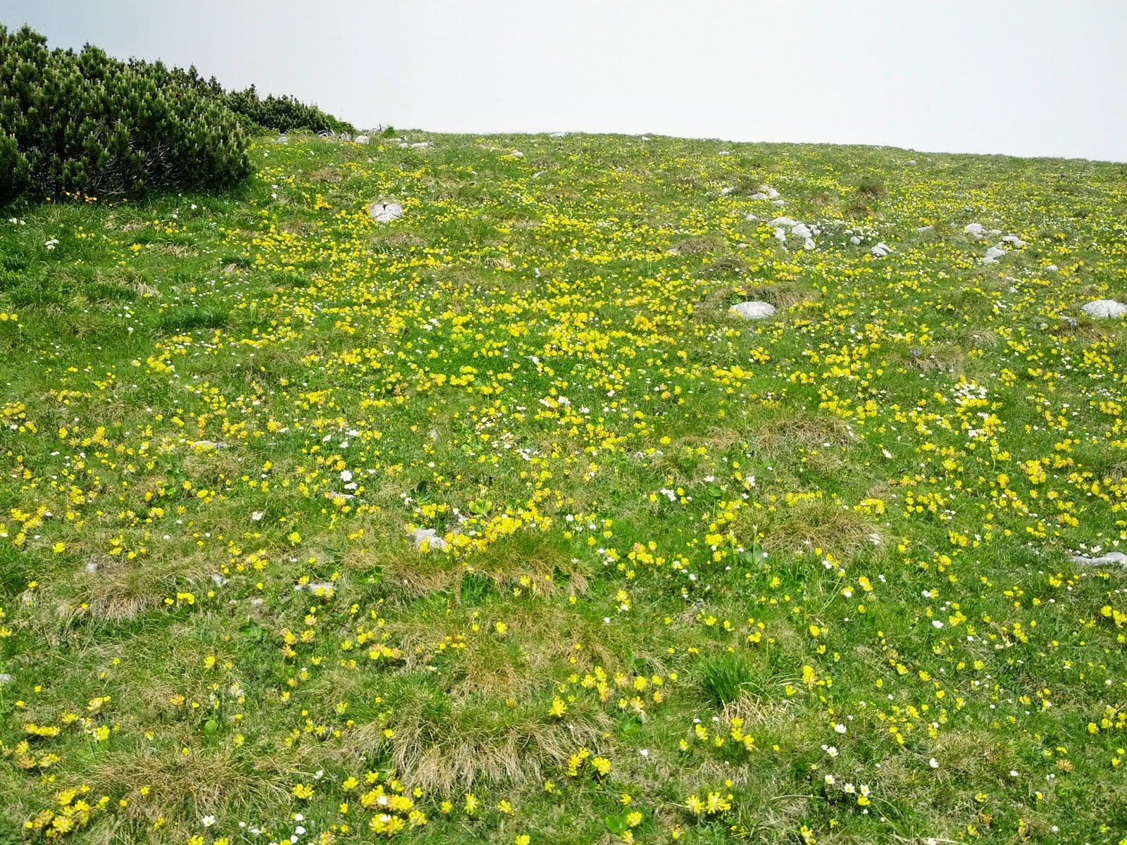 lh3.googleusercontent.com_-jde9dqjjpry_ucwqhuu3qoi_aaaaaaaan6w_2qgopox10ew_w1600-h1200-no_img_20130622_100621.jpg lh3.googleusercontent.com_-jde9dqjjpry_ucwqhuu3qoi_aaaaaaaan6w_2qgopox10ew_w1600-h1200-no_img_20130622_100621.jpg