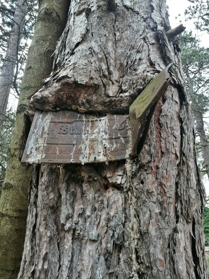 lh4.googleusercontent.com_-z2xeknvf83g_vpseqiipk0i_aaaaaaaahui_p5wjvwtta4c_w680-h907-no_20150307_125216_richtone_28hdr_29.jpg lh4.googleusercontent.com_-z2xeknvf83g_vpseqiipk0i_aaaaaaaahui_p5wjvwtta4c_w680-h907-no_20150307_125216_richtone_28hdr_29.jpg