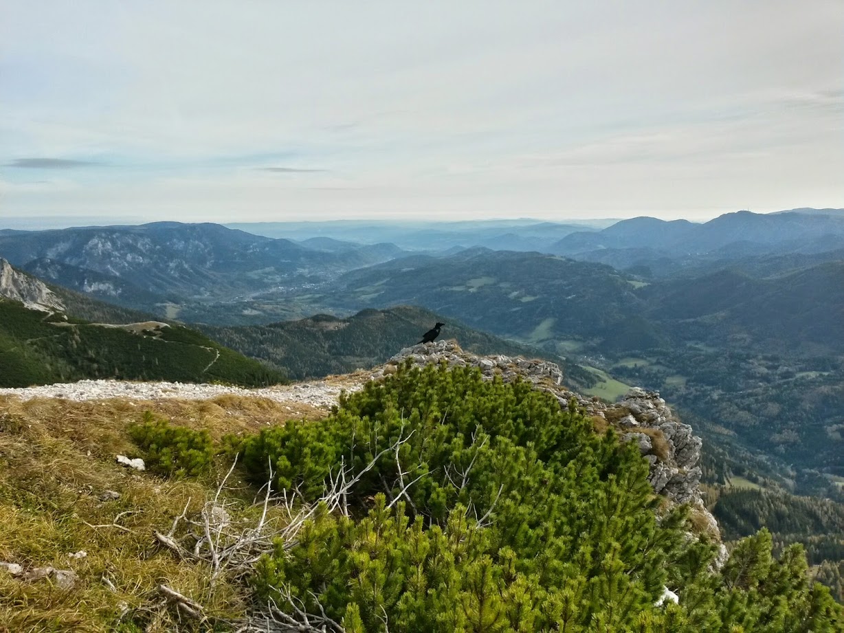 lh4.googleusercontent.com_-6eu_4_3wvlq_vfuw_4jlw-i_aaaaaaaaeho_eg7yer70m9m_w1228-h921-no_20141101_101535_richtone_28hdr_29.jpg lh4.googleusercontent.com_-6eu_4_3wvlq_vfuw_4jlw-i_aaaaaaaaeho_eg7yer70m9m_w1228-h921-no_20141101_101535_richtone_28hdr_29.jpg