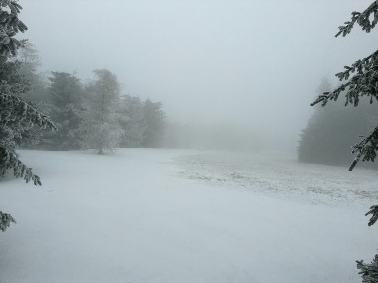 lh3.googleusercontent.com_-ajk38ngk38a_vmouk93vjei_aaaaaaaahg4_ev4kbkmhgtu_w1209-h907-no_20150124_120309_richtone_28hdr_29.jpg lh3.googleusercontent.com_-ajk38ngk38a_vmouk93vjei_aaaaaaaahg4_ev4kbkmhgtu_w1209-h907-no_20150124_120309_richtone_28hdr_29.jpg