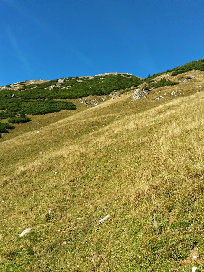 lh6.googleusercontent.com_-osnwtuexfvc_vdkvrcf1pbi_aaaaaaaaehy_aas8ekwu2ga_w691-h921-no_20141011_114711_richtone_28hdr_29.jpg lh6.googleusercontent.com_-osnwtuexfvc_vdkvrcf1pbi_aaaaaaaaehy_aas8ekwu2ga_w691-h921-no_20141011_114711_richtone_28hdr_29.jpg