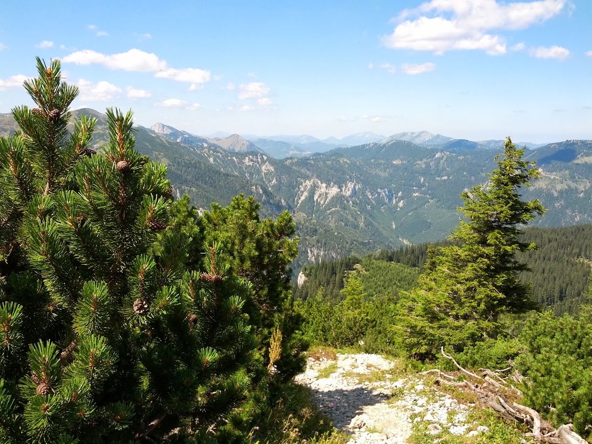 lh3.googleusercontent.com_-wwqfquvomh0_ug-ikea69gi_aaaaaaaapuk_s7c_ye9vbro_w1155-h866-no_img_20130817_122133.jpg lh3.googleusercontent.com_-wwqfquvomh0_ug-ikea69gi_aaaaaaaapuk_s7c_ye9vbro_w1155-h866-no_img_20130817_122133.jpg