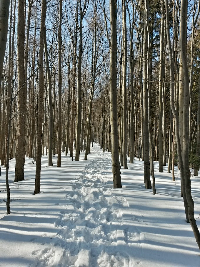 lh4.googleusercontent.com_-vqgtkp8mzhw_vn9nxxqcfyi_aaaaaaaaha8_sdefv16ki-e_w680-h907-no_20150214_131156_richtone_28hdr_29.jpg lh4.googleusercontent.com_-vqgtkp8mzhw_vn9nxxqcfyi_aaaaaaaaha8_sdefv16ki-e_w680-h907-no_20150214_131156_richtone_28hdr_29.jpg