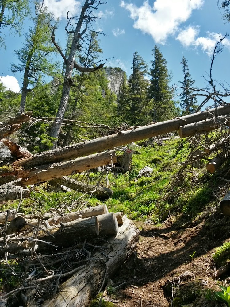 lh4.googleusercontent.com_-h_x58tkaxvo_u5m93tkieci_aaaaaaaay-e_u2jsnboaiio_w750-h1000-no_20140607_121445_richtone_2528hdr_2529.jpg lh4.googleusercontent.com_-h_x58tkaxvo_u5m93tkieci_aaaaaaaay-e_u2jsnboaiio_w750-h1000-no_20140607_121445_richtone_2528hdr_2529.jpg