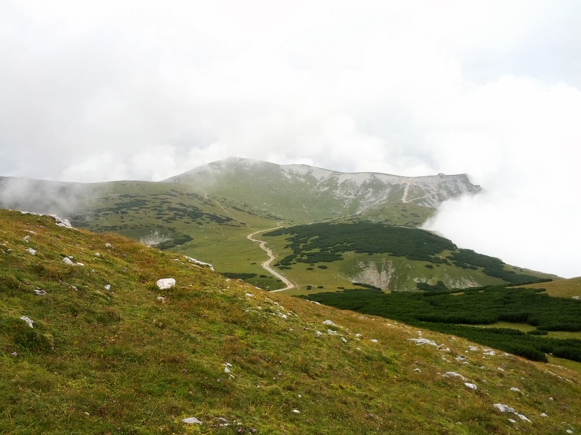 lh6.googleusercontent.com_-21zoxaa5j7w_uhjnxla8k8i_aaaaaaaap4y_svhftyj7ek4_w1155-h866-no_img_20130824_123501.jpg lh6.googleusercontent.com_-21zoxaa5j7w_uhjnxla8k8i_aaaaaaaap4y_svhftyj7ek4_w1155-h866-no_img_20130824_123501.jpg