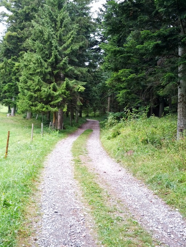 lh4.googleusercontent.com_-0zgkrfflemg_uhjnkrudg4i_aaaaaaaap0o_cac4vojmjfu_w650-h866-no_img_20130824_101239.jpg lh4.googleusercontent.com_-0zgkrfflemg_uhjnkrudg4i_aaaaaaaap0o_cac4vojmjfu_w650-h866-no_img_20130824_101239.jpg