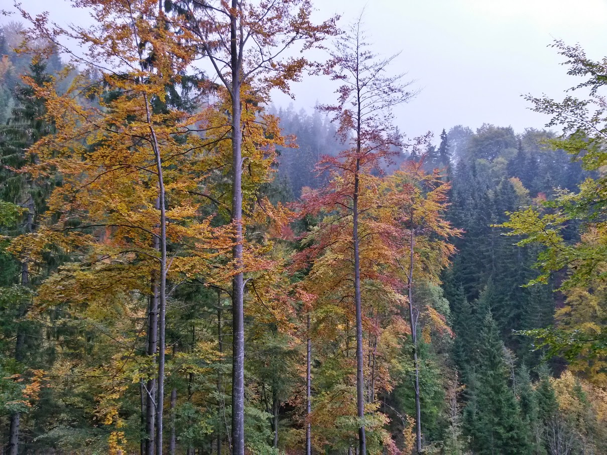 lh6.googleusercontent.com_-sfbhub5yepy_vhkesd0mcgi_aaaaaaaaosw_1xah55e_xl0_w1209-h907-no_20151010_115819_richtone_2528hdr_2529.jpg lh6.googleusercontent.com_-sfbhub5yepy_vhkesd0mcgi_aaaaaaaaosw_1xah55e_xl0_w1209-h907-no_20151010_115819_richtone_2528hdr_2529.jpg