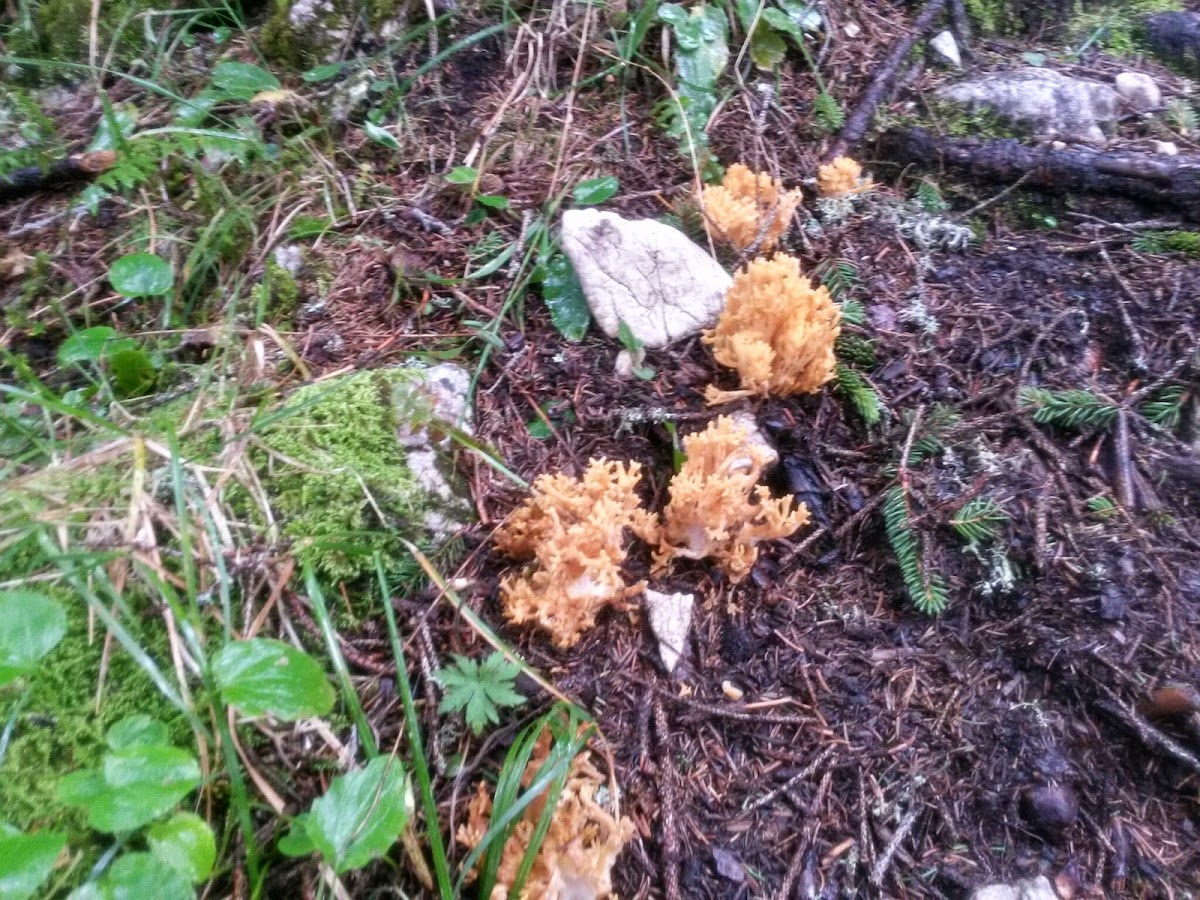 lh3.googleusercontent.com_-i80hfjenilo_vaxfbhnpnwi_aaaaaaaacpa_znypwlasoci_w1200-h900-no_20140907_140513_richtone_28hdr_29.jpg lh3.googleusercontent.com_-i80hfjenilo_vaxfbhnpnwi_aaaaaaaacpa_znypwlasoci_w1200-h900-no_20140907_140513_richtone_28hdr_29.jpg