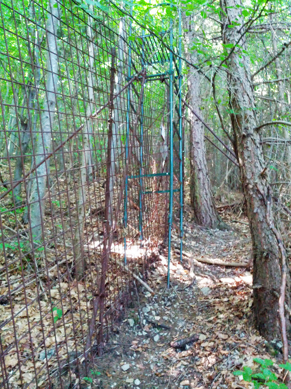 lh6.googleusercontent.com_-8mhhqopgyiu_uevap8f3f_i_aaaaaaaaopk_n88ss2k8yjo_w600-h800-no_img_20130721_110615.jpg lh6.googleusercontent.com_-8mhhqopgyiu_uevap8f3f_i_aaaaaaaaopk_n88ss2k8yjo_w600-h800-no_img_20130721_110615.jpg