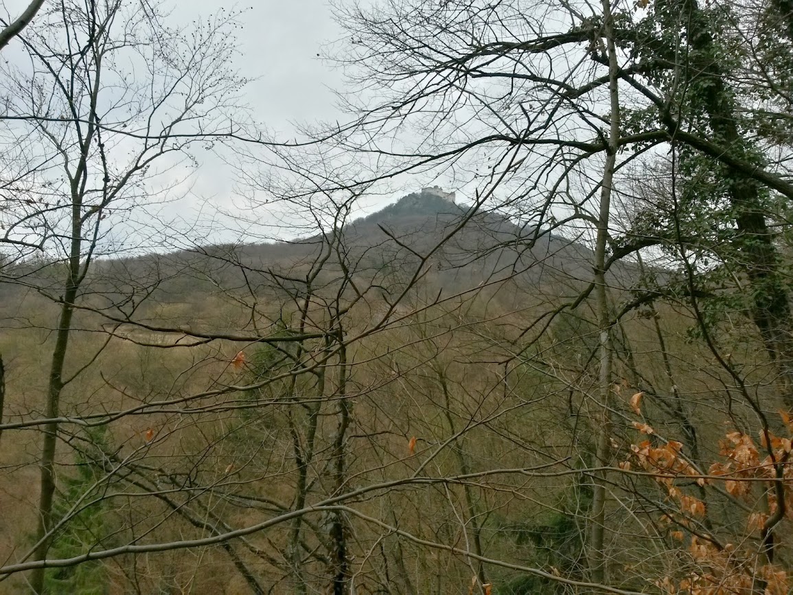 lh3.googleusercontent.com_-jqomy48pnn4_uwjd-uv7vri_aaaaaaaavvm_j6-byi53iau_w1155-h866-no_20140222_101508_richtone_2528hdr_2529.jpg lh3.googleusercontent.com_-jqomy48pnn4_uwjd-uv7vri_aaaaaaaavvm_j6-byi53iau_w1155-h866-no_20140222_101508_richtone_2528hdr_2529.jpg