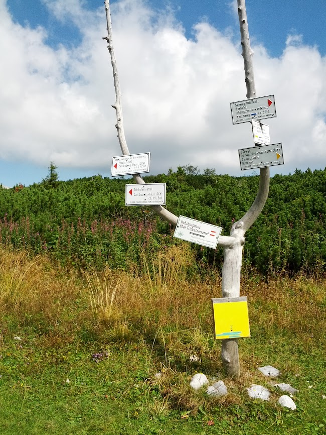 lh6.googleusercontent.com_-6uthi5jzf54_uitpuwlhexi_aaaaaaaaqk0_pjy-vyokwlg_w650-h866-no_img_20130907_115713.jpg lh6.googleusercontent.com_-6uthi5jzf54_uitpuwlhexi_aaaaaaaaqk0_pjy-vyokwlg_w650-h866-no_img_20130907_115713.jpg