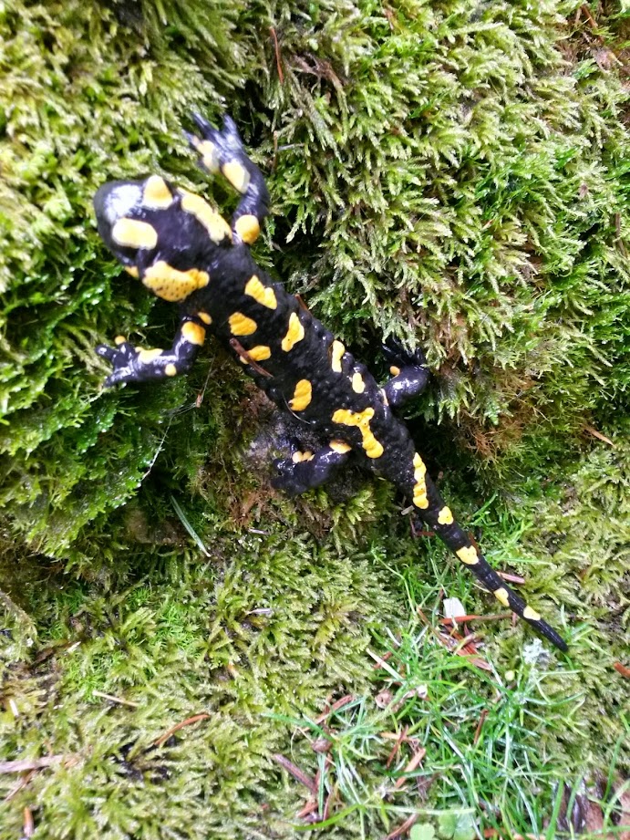 lh6.googleusercontent.com_-vqop73cg5l0_vccyw0sciii_aaaaaaaadvu_cnchycz34qm_w691-h921-no_20140927_113822_richtone_28hdr_29.jpg lh6.googleusercontent.com_-vqop73cg5l0_vccyw0sciii_aaaaaaaadvu_cnchycz34qm_w691-h921-no_20140927_113822_richtone_28hdr_29.jpg