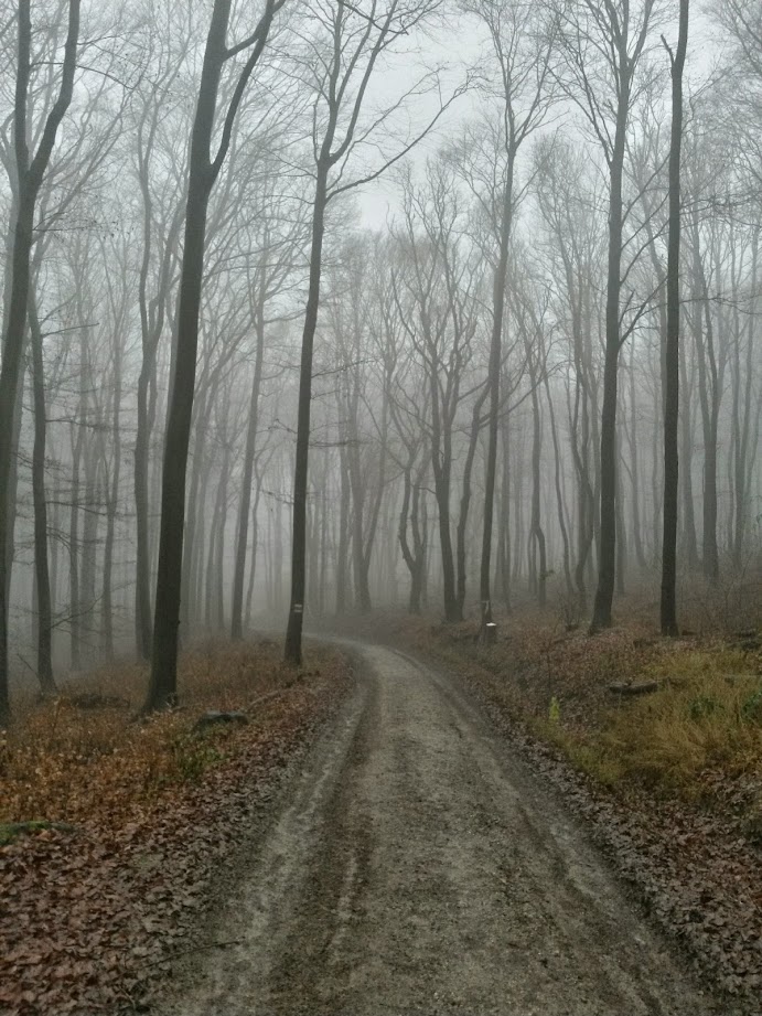 lh5.googleusercontent.com_-kdrbrari8jk_vil4hba-lyi_aaaaaaaafu0_tsumeqtc3wm_w691-h921-no_20141206_105243_richtone_28hdr_29.jpg lh5.googleusercontent.com_-kdrbrari8jk_vil4hba-lyi_aaaaaaaafu0_tsumeqtc3wm_w691-h921-no_20141206_105243_richtone_28hdr_29.jpg