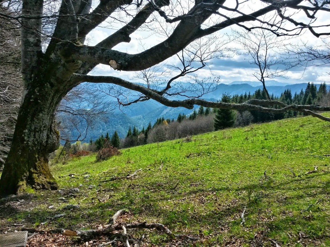 lh6.googleusercontent.com_-c_5n53zeguu_u1vxuevlh7i_aaaaaaaaw98_domimgwq6dy_w1155-h866-no_20140421_105530_richtone_2528hdr_2529.jpg lh6.googleusercontent.com_-c_5n53zeguu_u1vxuevlh7i_aaaaaaaaw98_domimgwq6dy_w1155-h866-no_20140421_105530_richtone_2528hdr_2529.jpg