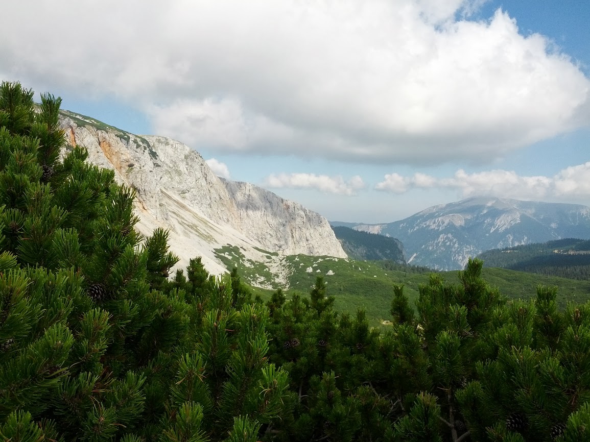 lh5.googleusercontent.com_-xgzduaahgoi_uitpylz8d2i_aaaaaaaaqlm_knub7ldwepw_w1155-h866-no_img_20130907_120817.jpg lh5.googleusercontent.com_-xgzduaahgoi_uitpylz8d2i_aaaaaaaaqlm_knub7ldwepw_w1155-h866-no_img_20130907_120817.jpg