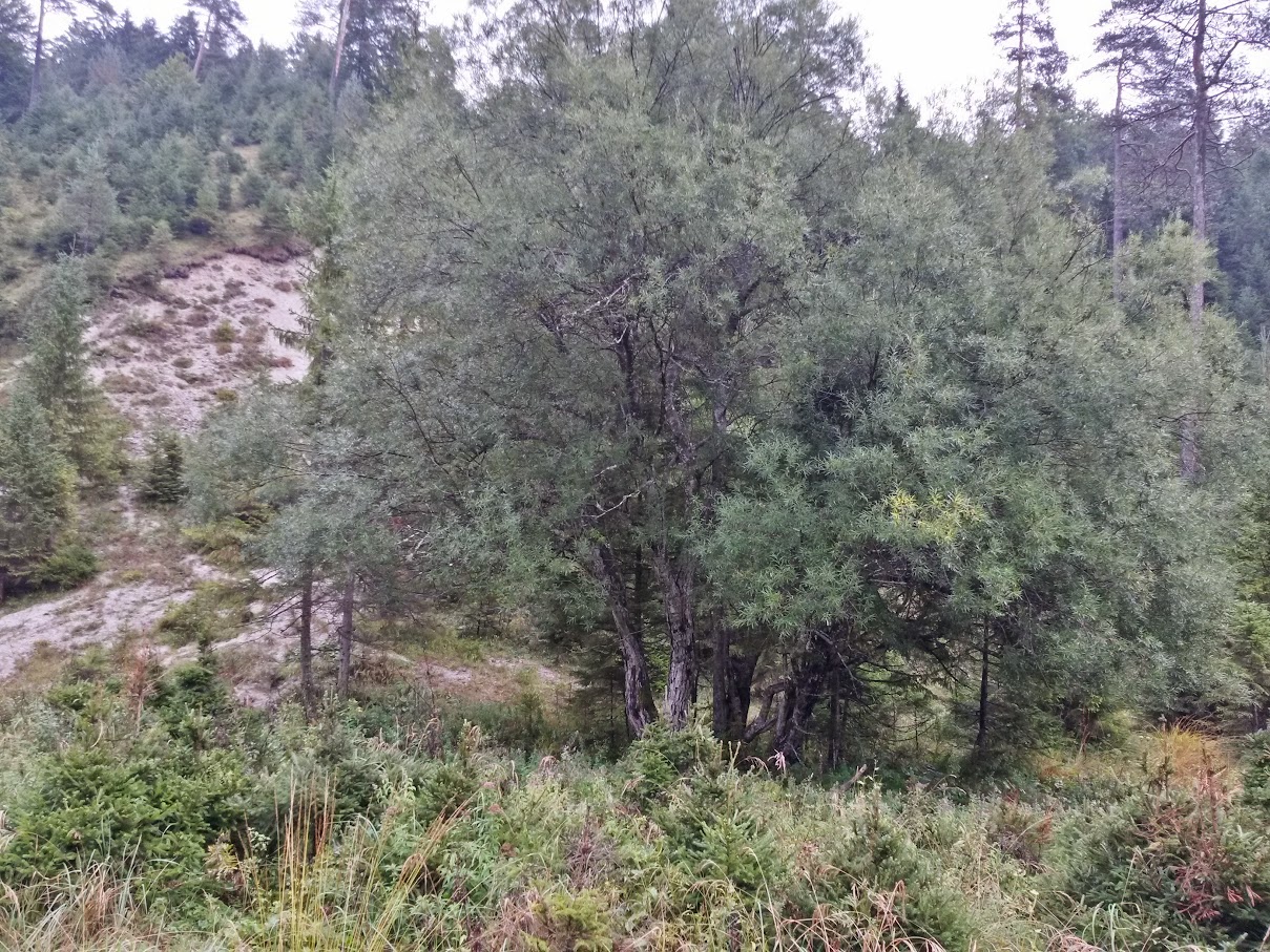 lh4.googleusercontent.com_-kzfjrrgb7vu_vgaxaecgtfi_aaaaaaaaobo_w4k237ss4iq_w1209-h907-no_20150926_102750_richtone_2528hdr_2529.jpg lh4.googleusercontent.com_-kzfjrrgb7vu_vgaxaecgtfi_aaaaaaaaobo_w4k237ss4iq_w1209-h907-no_20150926_102750_richtone_2528hdr_2529.jpg