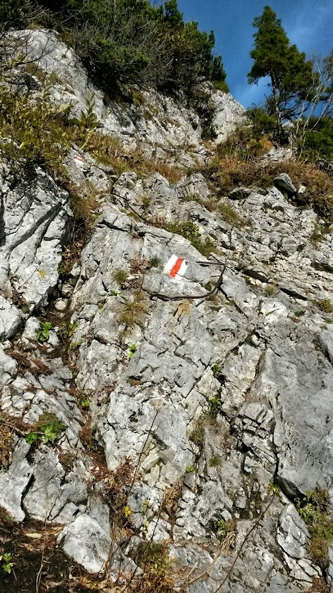 lh5.googleusercontent.com_-mdko3tlx9tu_umkua46ldii_aaaaaaaarju_e9badot-c9y_w487-h866-no_20131019_094859_richtone_2528hdr_2529.jpg lh5.googleusercontent.com_-mdko3tlx9tu_umkua46ldii_aaaaaaaarju_e9badot-c9y_w487-h866-no_20131019_094859_richtone_2528hdr_2529.jpg