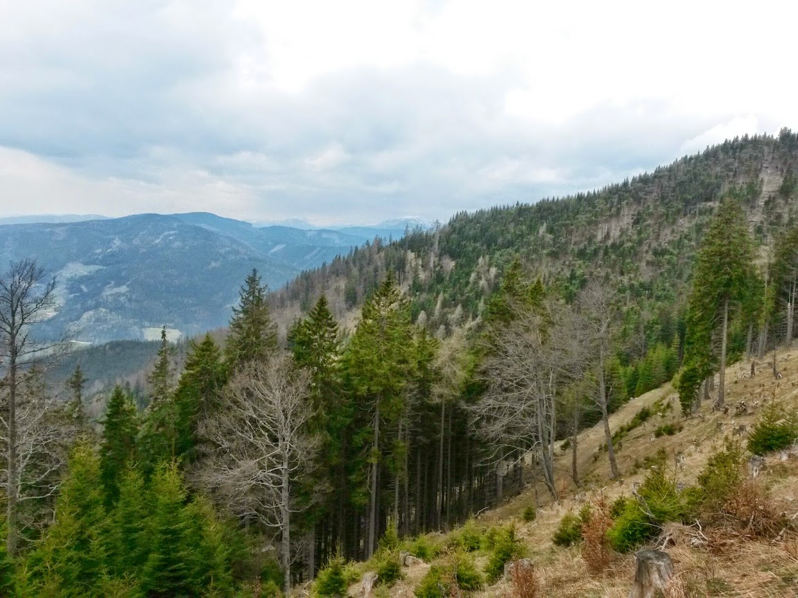 lh3.googleusercontent.com_-j1gzlcut-be_u0upx1-v53i_aaaaaaaawp0_xbx2fln9lma_w1155-h866-no_20140414_104801.jpg lh3.googleusercontent.com_-j1gzlcut-be_u0upx1-v53i_aaaaaaaawp0_xbx2fln9lma_w1155-h866-no_20140414_104801.jpg