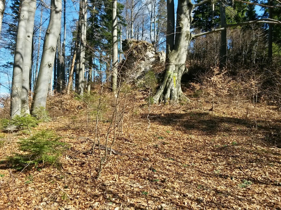 lh4.googleusercontent.com_-n07mspmxqjs_uxh-qvoqofi_aaaaaaaavki_1gyku9j1eo0_w1155-h866-no_20140301_123659_richtone_2528hdr_2529.jpg lh4.googleusercontent.com_-n07mspmxqjs_uxh-qvoqofi_aaaaaaaavki_1gyku9j1eo0_w1155-h866-no_20140301_123659_richtone_2528hdr_2529.jpg