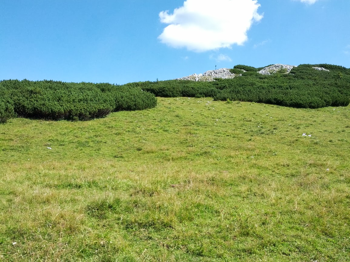 lh3.googleusercontent.com_-3mx4lcpaguk_ug-ifgoukwi_aaaaaaaapue_2txeuteed6m_w1155-h866-no_img_20130817_120755.jpg lh3.googleusercontent.com_-3mx4lcpaguk_ug-ifgoukwi_aaaaaaaapue_2txeuteed6m_w1155-h866-no_img_20130817_120755.jpg