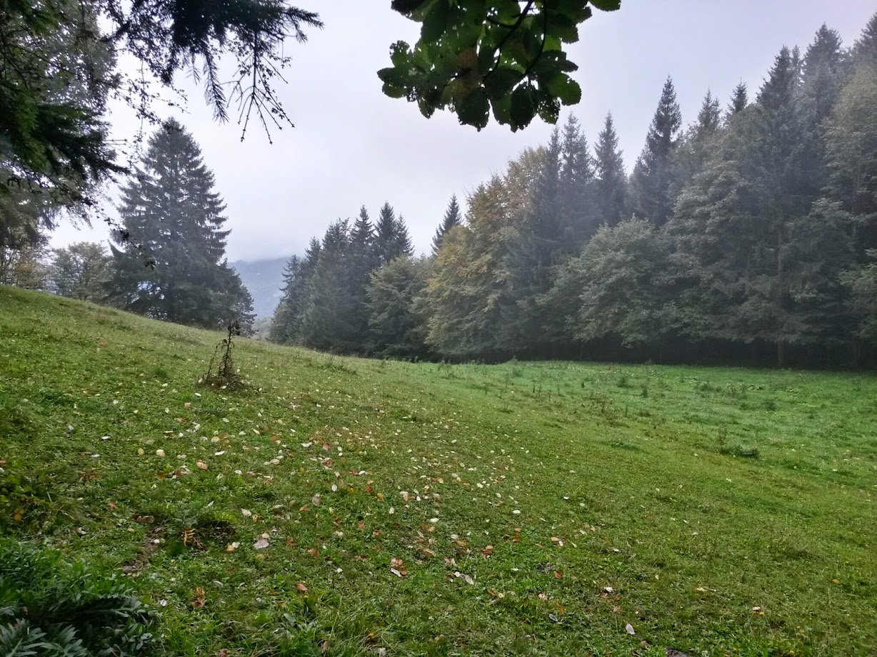 lh4.googleusercontent.com_-hcwvlulw1z8_vccyhckp3ci_aaaaaaaadwq_xm5q_2u9n6a_w1228-h921-no_20140927_115544_richtone_28hdr_29.jpg lh4.googleusercontent.com_-hcwvlulw1z8_vccyhckp3ci_aaaaaaaadwq_xm5q_2u9n6a_w1228-h921-no_20140927_115544_richtone_28hdr_29.jpg