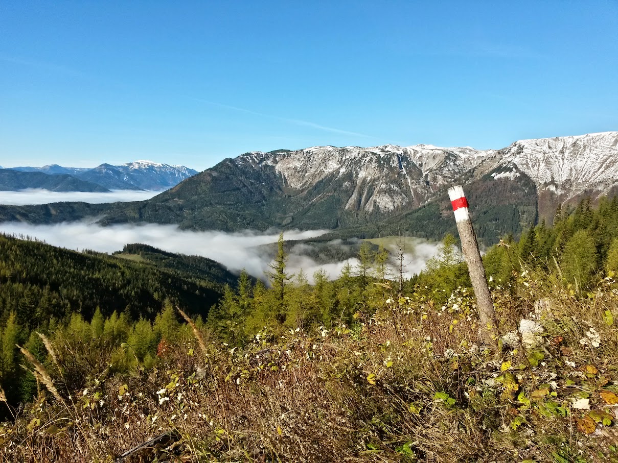 lh4.googleusercontent.com_-_pbuydfzzf8_viukhepj1di_aaaaaaaaoe4_7rv2j3043ju_w1209-h907-no_20151024_103636_richtone_2528hdr_2529.jpg lh4.googleusercontent.com_-_pbuydfzzf8_viukhepj1di_aaaaaaaaoe4_7rv2j3043ju_w1209-h907-no_20151024_103636_richtone_2528hdr_2529.jpg