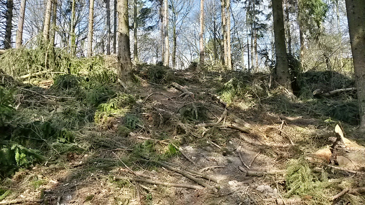 lh3.googleusercontent.com_-kgu6jomzqd0_vsu5q-otcei_aaaaaaaaidi_zqulxbtwafa_w1444-h813-no_20150413_101344_richtone_28hdr_29.jpg lh3.googleusercontent.com_-kgu6jomzqd0_vsu5q-otcei_aaaaaaaaidi_zqulxbtwafa_w1444-h813-no_20150413_101344_richtone_28hdr_29.jpg