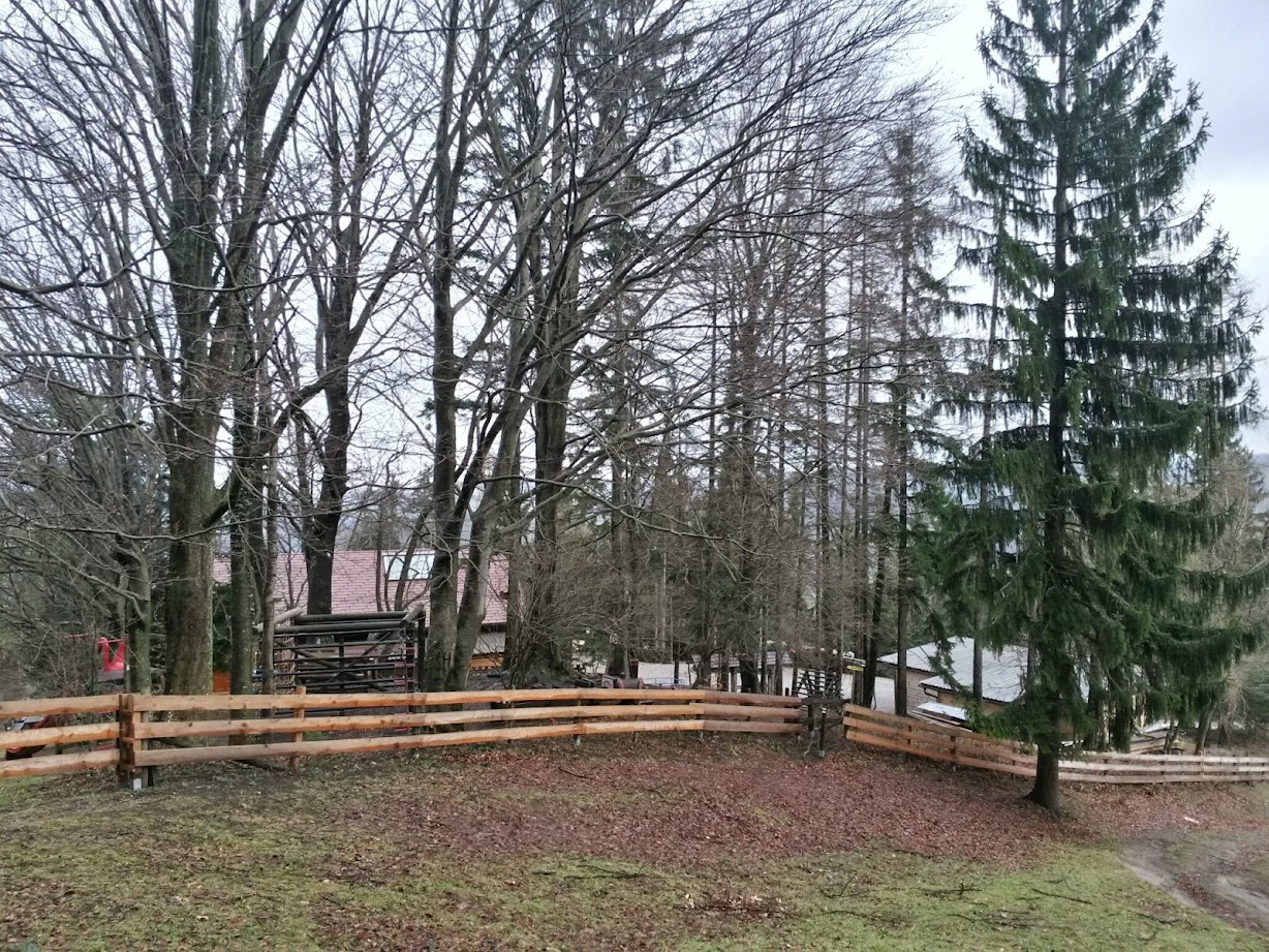 lh5.googleusercontent.com_-d3iesbgar5e_vlenorf6jai_aaaaaaaag3w_xqmldl47wqk_w1228-h921-no_20150110_105220_richtone_28hdr_29.jpg lh5.googleusercontent.com_-d3iesbgar5e_vlenorf6jai_aaaaaaaag3w_xqmldl47wqk_w1228-h921-no_20150110_105220_richtone_28hdr_29.jpg